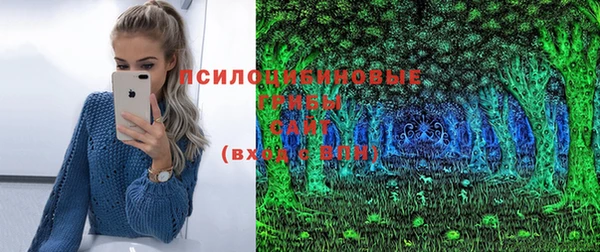 сатива Покачи