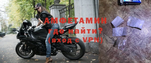 сатива Покачи