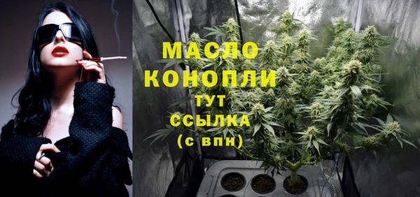 сатива Покачи