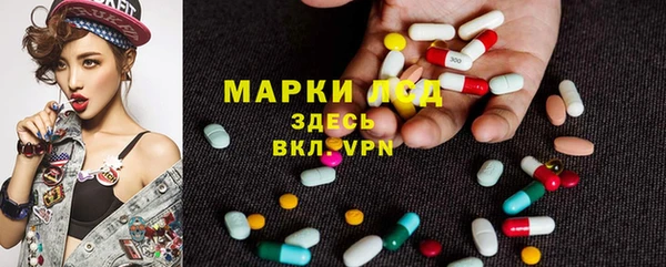 сатива Покачи