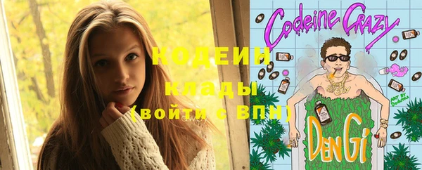 сатива Покачи