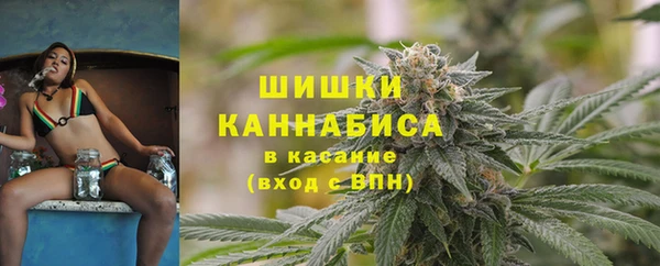 сатива Покачи