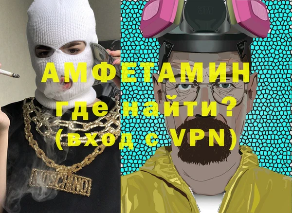 сатива Покачи