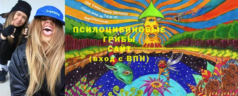 MEGA tor  Нальчик  Псилоцибиновые грибы Psilocybine cubensis 