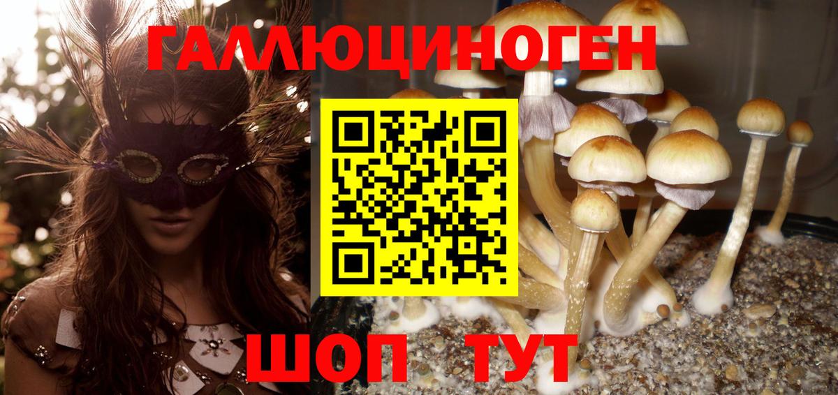 Галлюциногенные грибы прущие грибы Нальчик