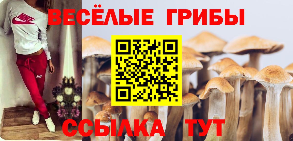 Псилоцибиновые грибы ЛСД  Вход с VPN  Нальчик 